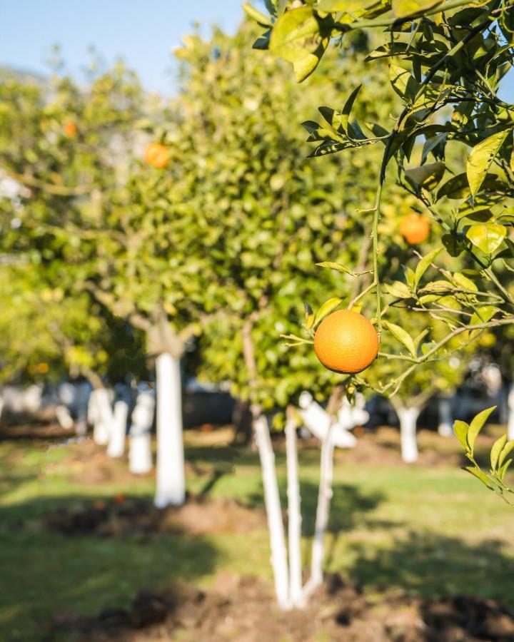 Oase Garden Hotel Çıralı Eksteriør bilde